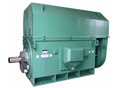 达州Y系列6KV高压电机
